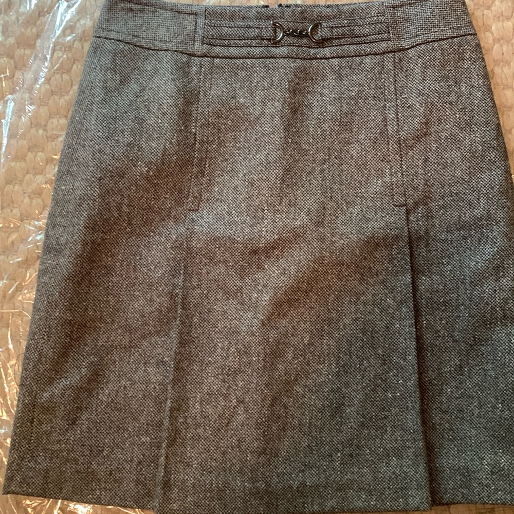 Ann Taylor Skirt